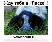 http://www.priuti.ru/