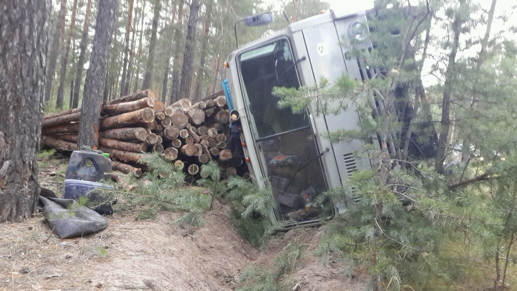 Сельчане нашли в лесу казахский «КамАЗ», который не довез алтайские бревна