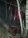 Автомобиль после столкновения с деревом принял вертикальное положение