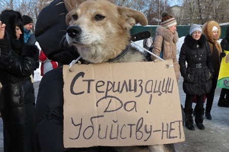 «Защитим бездомных от бездушных»:  пикет против убийства бродячих собак собрал в Барнауле более 150 человек. Фоторепортаж