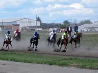 Более 100 лошадей будут бороться за приз губернатора Алтайского края на бегах года