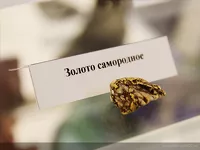 В Алтайском крае может разразиться золотая лихорадка