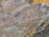 Ученые обнаружили в горах Алтая уникальные «художества»