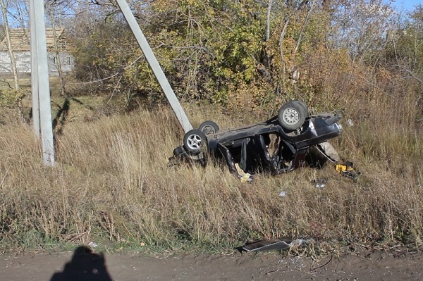 На Алтае пьяный водитель устроил ДТП-перевертыш ради спасения кота