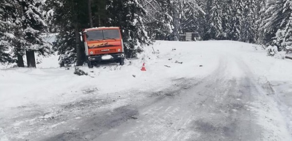 Житель алтайского села погиб колесами рванувшего стоянки беспилотного грузовика