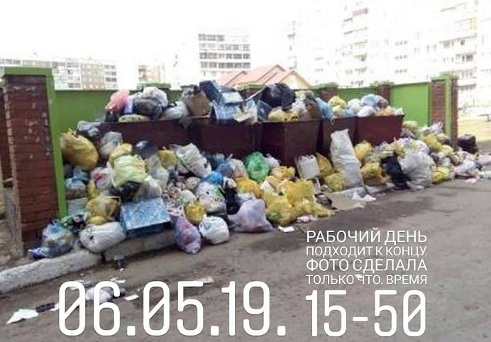 Жители Заринска пожаловались засилье крыс воронья утопающем мусоре городе
