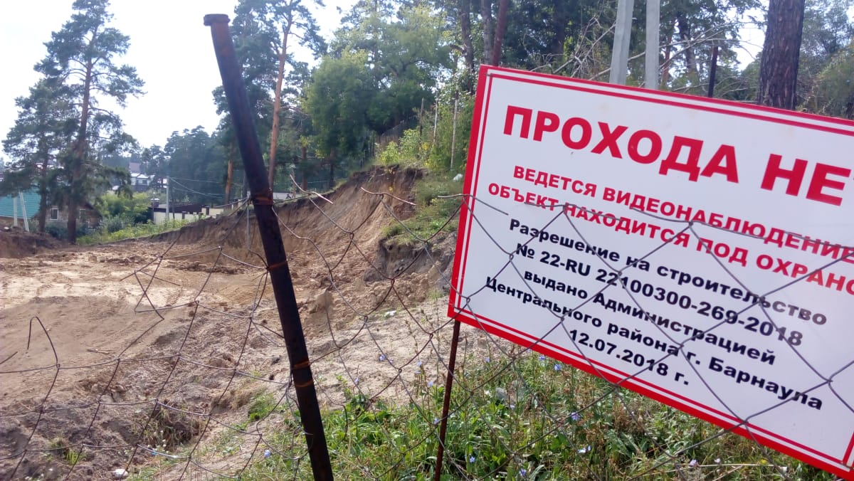 Жители барнаульского поселка заявили незаконных рубках сосен земле дела Игоря Савинцева