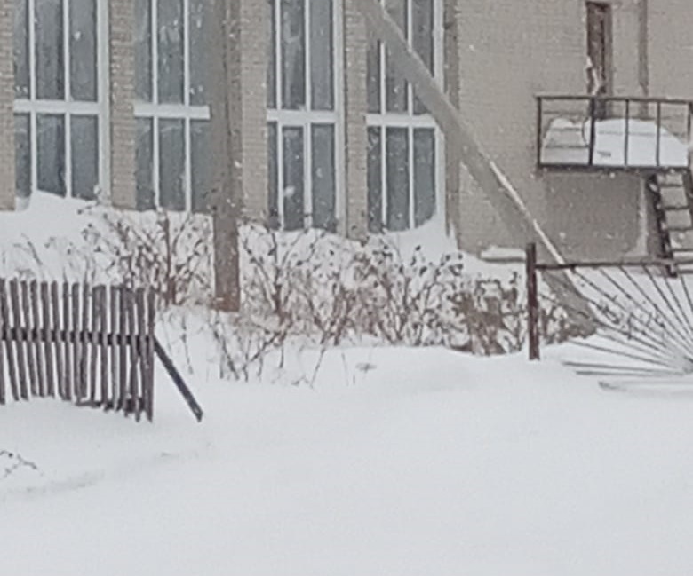 Депутат Алтайского Заксобрания пожалуется прокуратуру брешь безопасности сельской школы