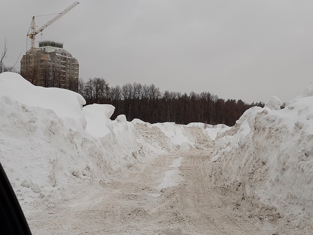 Барнаульцы рассказали незаконном сбросе загрязненного снега строящегося жилкомплекса ленточном бору