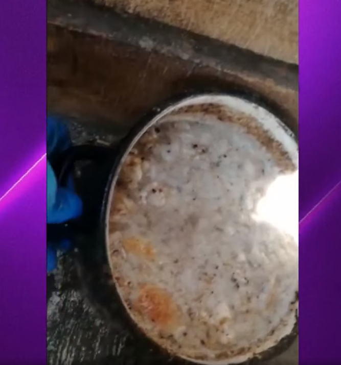 В Рубцовске возбудили уголовное дело жестоком обращении животными собачьем приюте