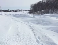 Жители алтайского поселка остаются отрезанными снегом от остального мира из-за нехватки техники (обновлено)