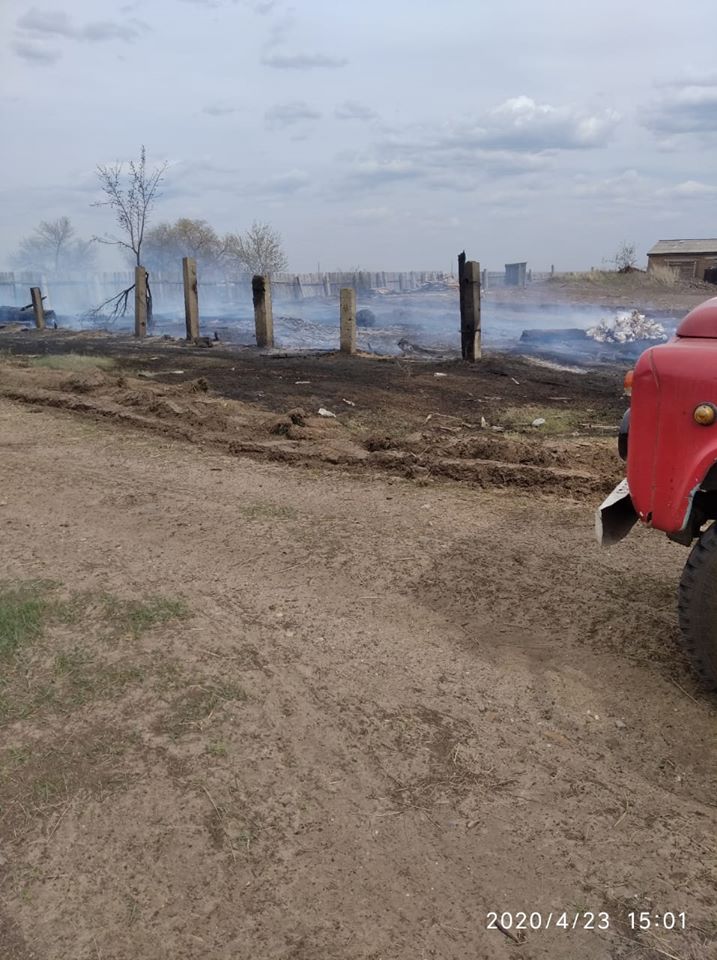 Рукотворные пожары объяли леса нескольких районах Алтайского края период строгой самоизоляции