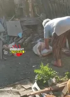 Жители алтайского села требуют найти управу на живодерку после жестокого убийства собаки и угроз их детям