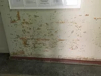 Пациенты алтайского Центра охраны материнства и детства пожаловались на обшарпанные стены и тараканов