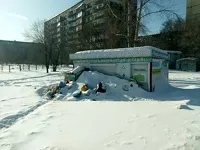 Сортировщики мусора в Бийске не смогли подобраться к контейнерам из-за заваленных снегом проездов