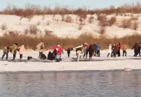 Без комментариев