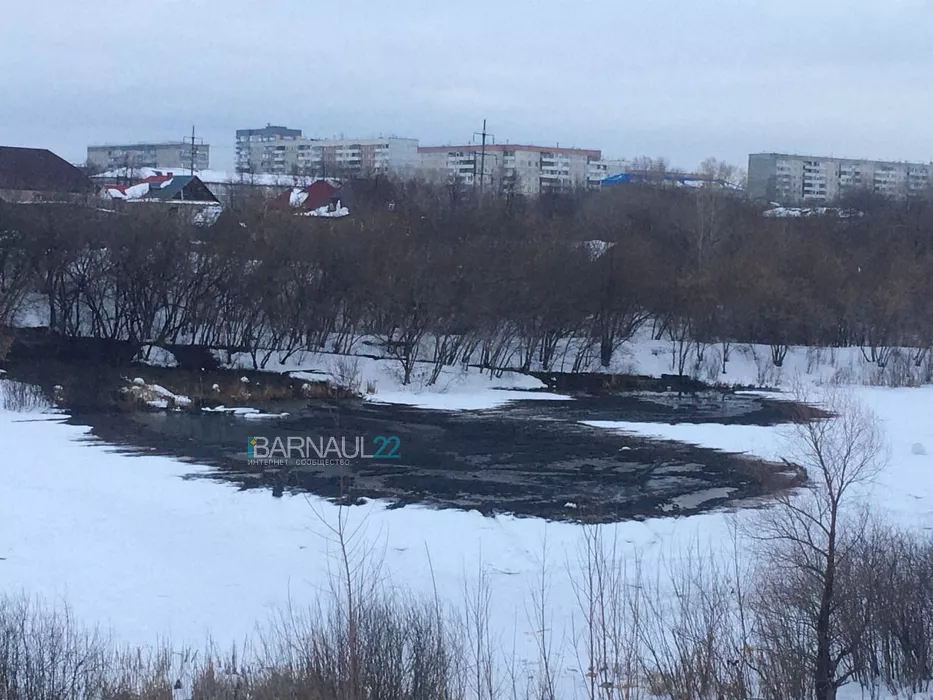 «Барнаульский водоканал» взялся устранять канализационный «прорыв» после жалоб на залитый нечистотами водоем