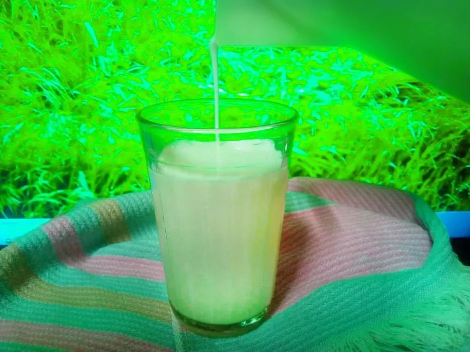 Новые случаи «утилизации» молока вскрыли серые отношения между алтайскими сельчанами и перекупщиками