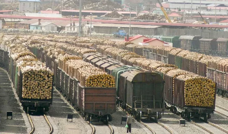 Железнодорожники ускорили отправку леса из Алтайского края в Китай