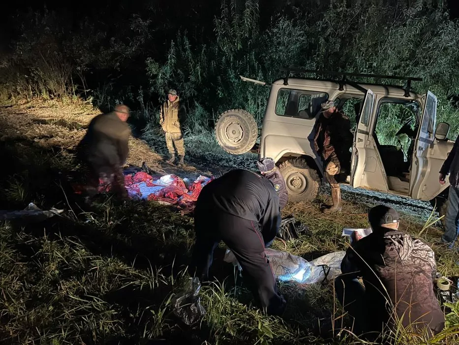 Алтайскому охотнику грозит срок за нелегальную добычу марала в Солонешенском районе