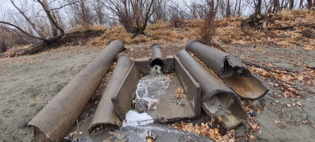 Барнаульские моржи рассказали об усилении сброса зловонных стоков в Обь в районе Нового моста