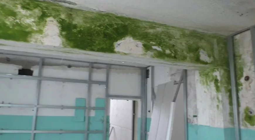 Жители Заринского района рассказали о попытке скрыть затянутые плесенью стены школы под гипсокартоном