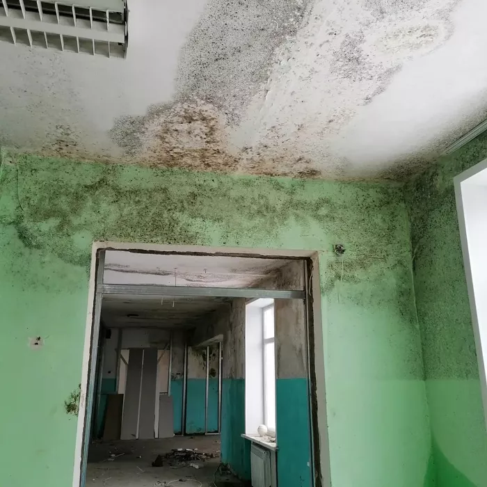 Контракт на завершение ремонта «заплесневелой» алтайской школы снова получил скандальный подрядчик