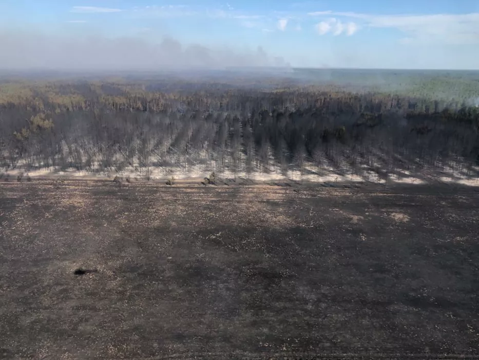 В Алтайском крае вспыхнул еще один крупный лесной пожар (обновлено)