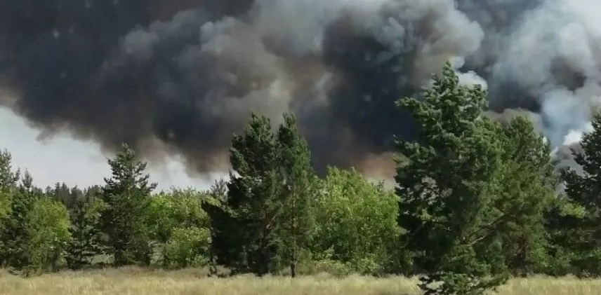 Спасатели локализовали масштабный лесной пожар в Михайловском районе