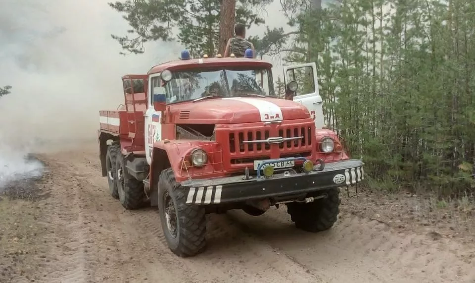 В Михайловском районе остановили продвижение разгоревшегося лесного пожара