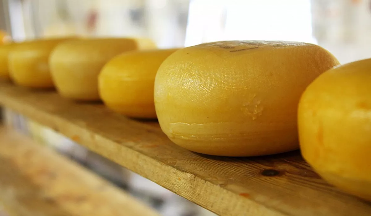 При свете «Меркурия»: на складах поставщика для алтайских медучреждений обнаружили почти 13 тонн «опасного» сыра