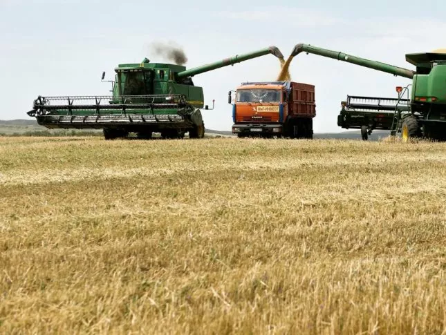 Идем на рекорд: алтайский Минсельхоз отчитался о сборе 4,7 млн тонн зерна и повышенном запасе кормов
