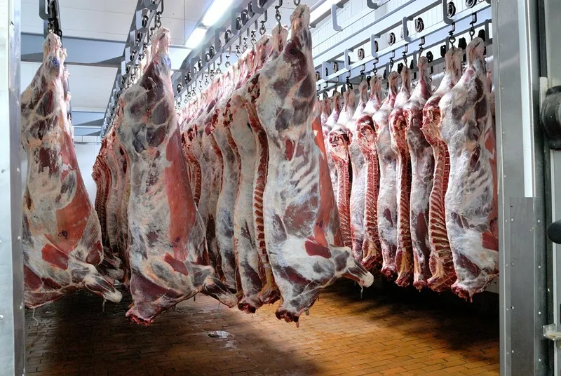 Алтайские депутаты попросили краевое ветуправление отсрочить запрет на продажу «домашнего»  мяса