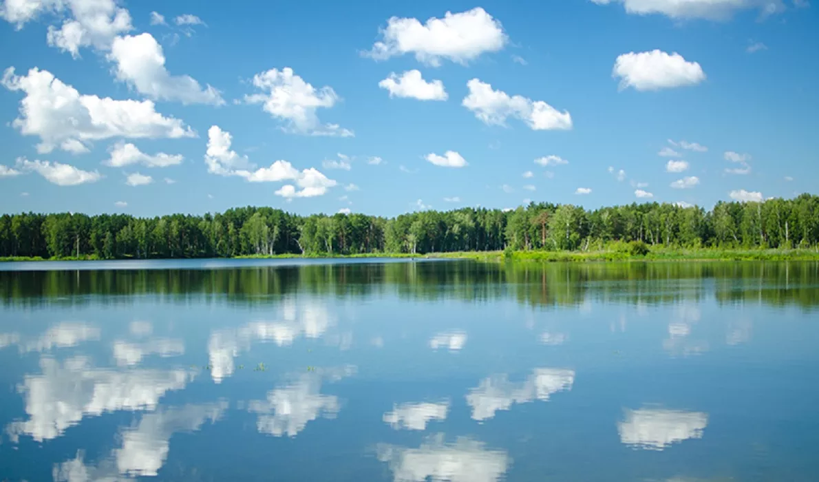 Эколог из алтайского «Народного фронта» заявил о необходимости изучить проблему заболачивания озера Уткуль