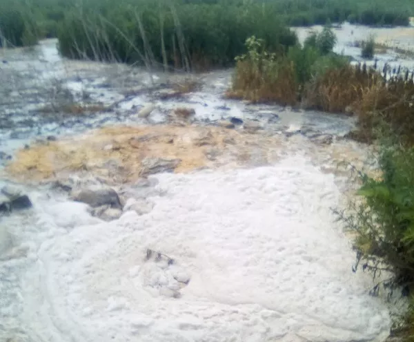 «Душит трупный запах»: жители алтайского села просят губернатора «спасти» их от смердящего предприятия