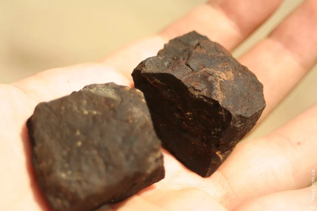 «Как бедные родственники»: владелец Мунайского разреза заявил о невостребованности алтайского угля на фоне кризиса