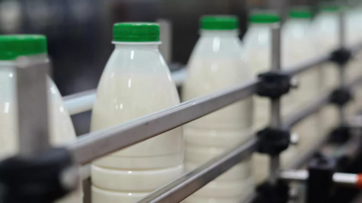 Известная алтайская компания объяснила резкий рост цен на молочную продукцию в крае
