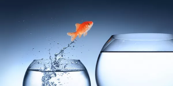 Есть мнение