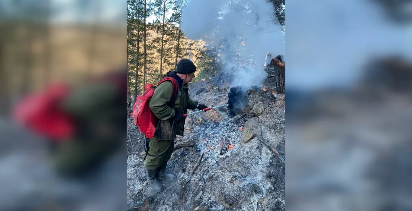 Республика Алтай открыла весенний сезон чередой пожаров