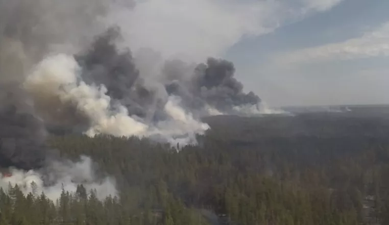 Огонь прошел еще тысячу га по лесам Егорьевского района