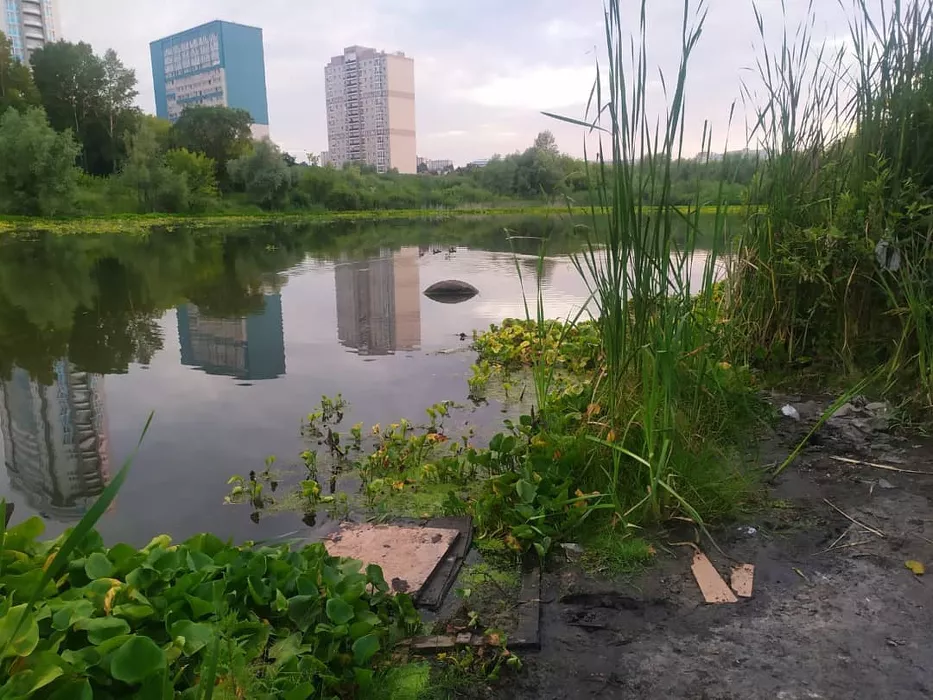 Слив обсчитан: «Барнаульский водоканал» наказали за загрязнение озера в парке «Юбилейный»