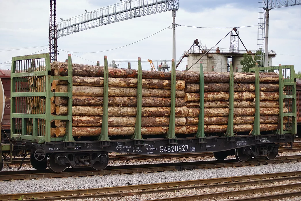 На Алтае возбудили уголовное дело после рубки 15 тысяч кубометров леса по разрешению Минприроды