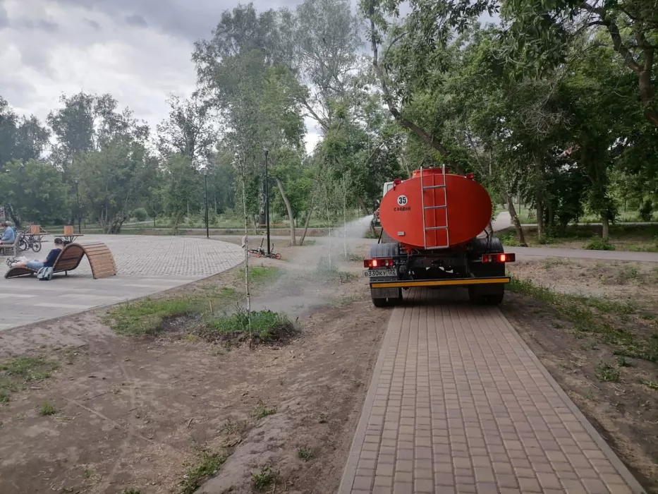 Власти Барнаула с приходом дождей озаботились поливом деревьев в Мизюлинской роще