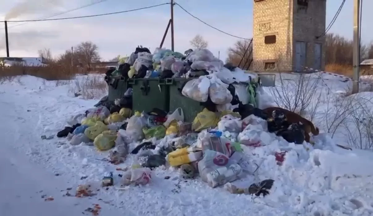В Рубцовской зоне выросли «мусорные холмы» из-за проблем с вывозом ТКО