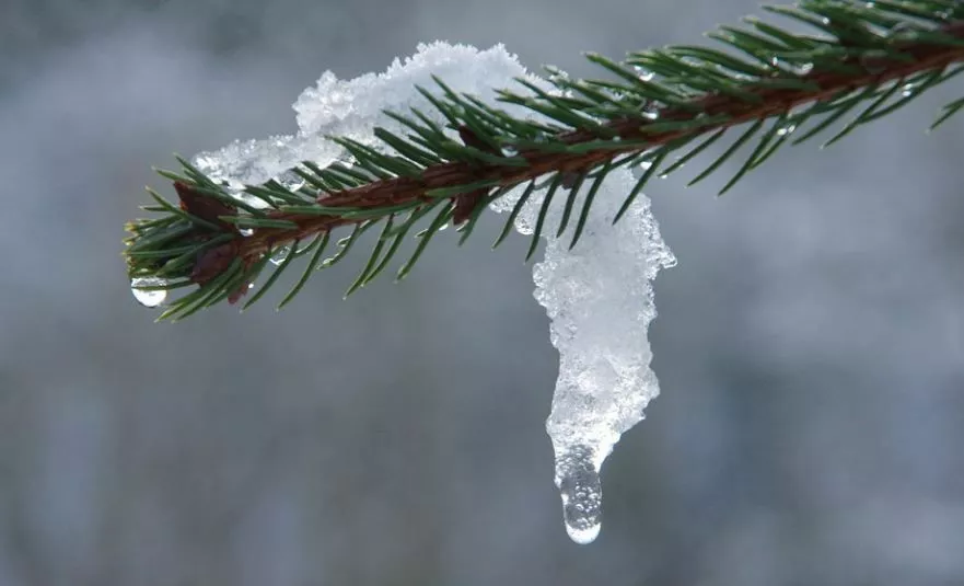 «Ледяная» оттепель: СГК назвала причину роста февральской платы за тепло в Бийске