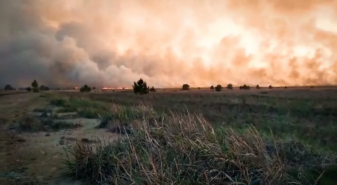 В Алтайском крае не дали крупному ландшафтному пожару перекинуться на населенный пункт