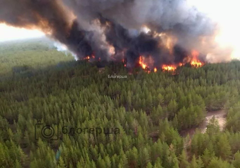 В Алтайском крае продолжают тушить два крупных лесных пожара (обновлено)