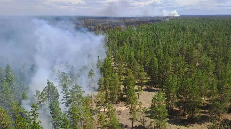 Спасатели дотушивают крупный лесной пожар в Егорьевском районе