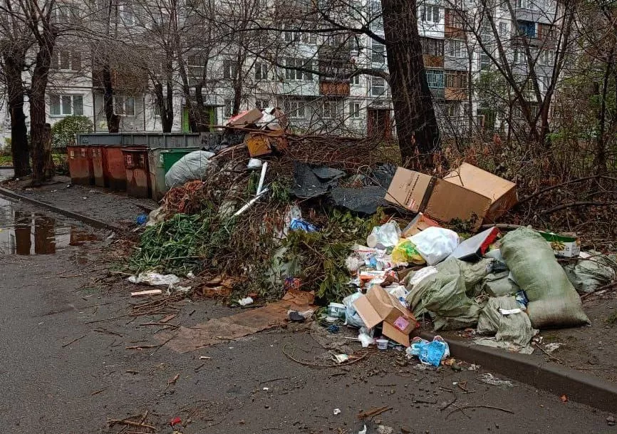 Регоператор прокомментировал приближение очередного «мусорного кризиса» в Бийске