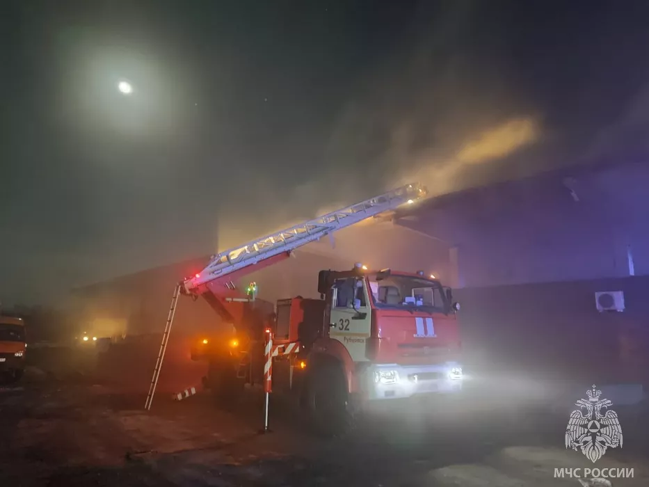 МЧС привлекло пожарный поезд к ликвидации крупного возгорания в Рубцовске (обновлено)